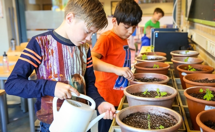 Groeien en bloeien op de Wereldwijzer 