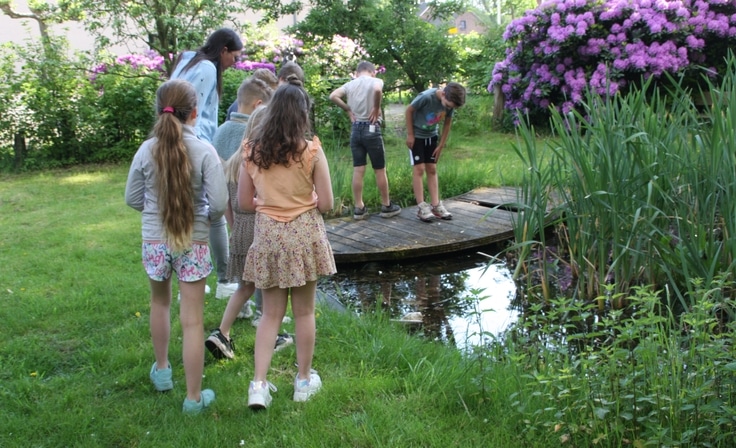 Buiten en groen bij Fonkeltuin