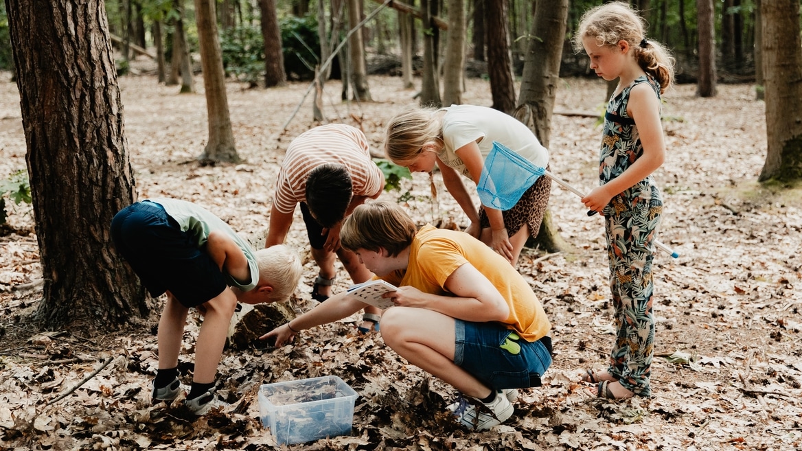 kids searching for animals in the forest